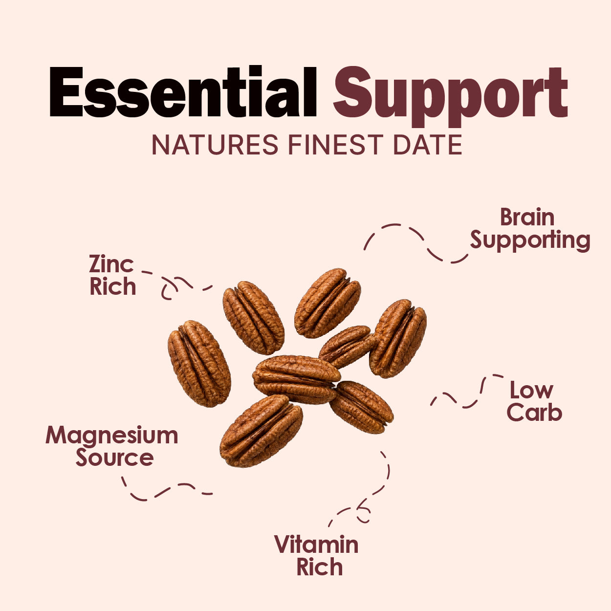 Pecan Nuts - Buy Premium Pecan Nuts